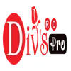 Divs Power Tools Private Limited