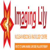 Diy Imaging Lily Private Limited