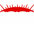 Dome Entertainment Private Limited
