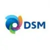 Dsm India Private Limited