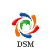 Dsm Infocom Private Limited