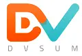 Dvsum India Private Limited
