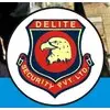 Delite Security Private Limited