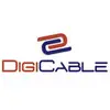 Digicable Network (India) Limited