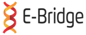 E-Bridge Outsourcing Services India Private Limited