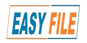 Easy File Consultancy Private Limited
