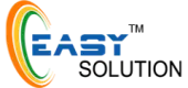 Easy Solution Infosystems Private Limited