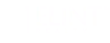 ELINT REALTY LLP