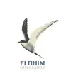 Elohim Immigration Consultancy Solution Private Limited