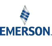 Emerson Process Management (India) Private Limited