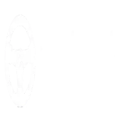 Emotoeast Technology Private Limited