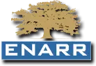 Enarr Infra And Capital Advisory Private Limited