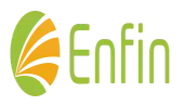 Enfin Technologies India Private Limited