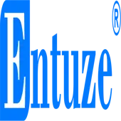 Entuze Technology Solutions Private Limited