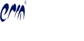 Erm Placement Services Pvt Ltd