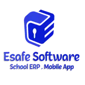 Esafe Software Solution Private Limited
