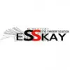 Esskay Technologys Private Limited