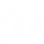 Estreetz Technologies Private Limited