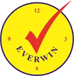 Everwin Security Services Private Limited
