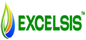 Excelsis Energy Private Limited