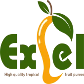 Excel Foods Private Limited
