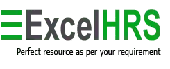 Excel Hr Solutions Private Limited