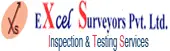 Excel Surveyors Private Limited