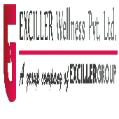 Exciller Trading Private Limited