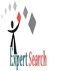 Expert Search Consulting Private Limited