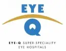 Eye-Q Vision Private Limited
