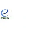 Entropy Systems Private Limited