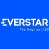 Everstar Opto Electronics Private Limited