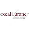 Excaliburancy Private Limited Opc