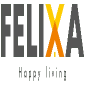 Felixa Infrastructure Private Limited