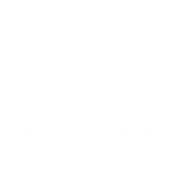 Flinket Services Private Limited