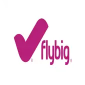 Flybig Ground Services Private Limited