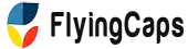 Flyingcaps Technologies Private Limited