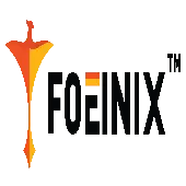 Foeinix Multi Products Private Limited