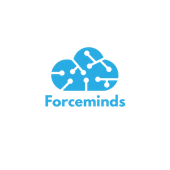 Forceminds It Consulting Private Limited