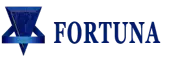 Fortuna Engi Tech And Structurals (India) Private Limited