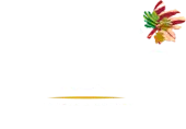Four Seasons Wines Limited