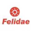 Felidae Infosec Private Limited