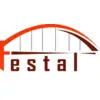 Festal Consulting Engineers Private Limited