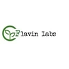 Flavinlabs Private Limited