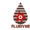 Fluidyne Control Systems Private Limited