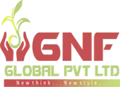 G.N.F. Global Private Limited