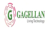 Gagellan Global Solutions Private Limited
