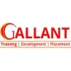 Gallant Info Solutions Private Limited