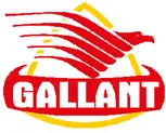 Gallant Intelligence Service Private Limited