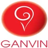 Ganvin Infratech Private Limited